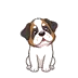 Saintbernard.Love Logo